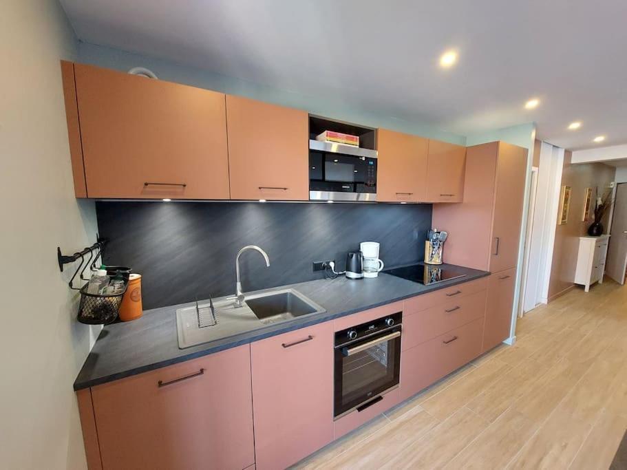 Charmant Appartement Lac D'Annecy / Ski - 6 Pers Menthon-Saint-Bernard Kültér fotó