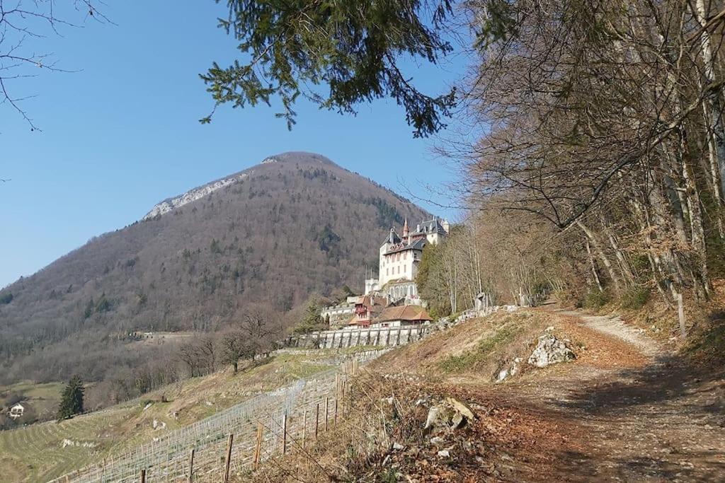Charmant Appartement Lac D'Annecy / Ski - 6 Pers Menthon-Saint-Bernard Kültér fotó
